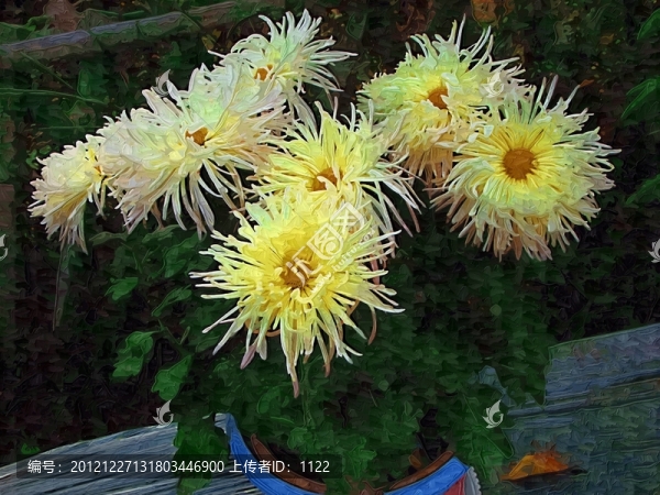 裝飾畫(huà),,,菊花