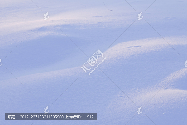 雪原