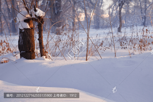 冬天