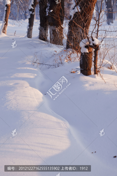 冬雪