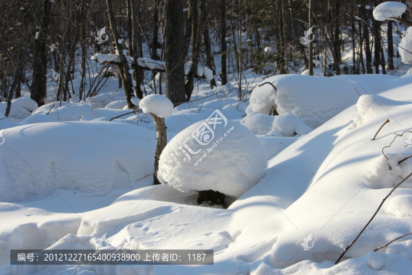 雪蘑菇