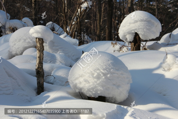 雪蘑菇