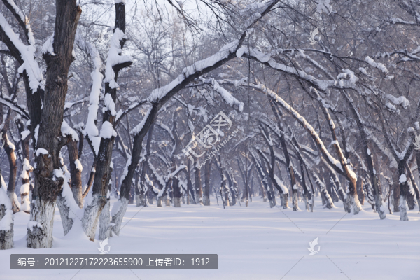 林海雪原
