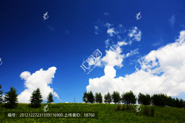 原野