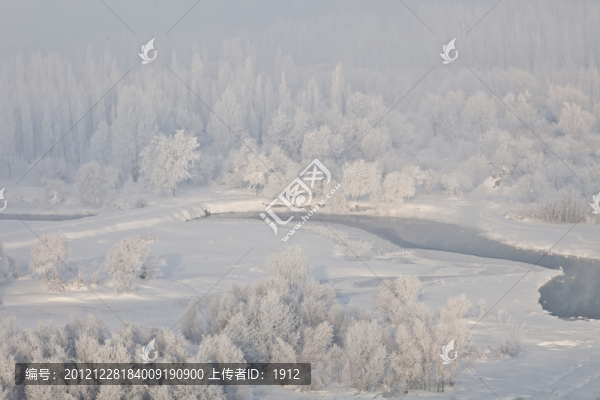 冬雪