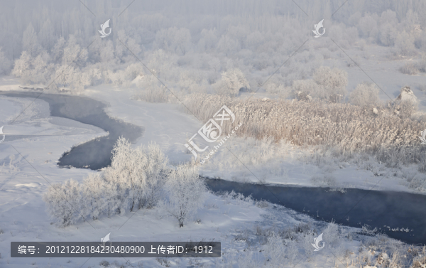 冬雪