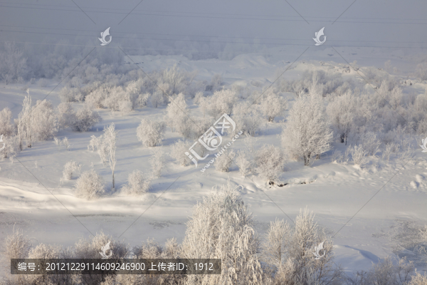 冬雪