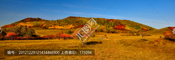 壩上風(fēng)光