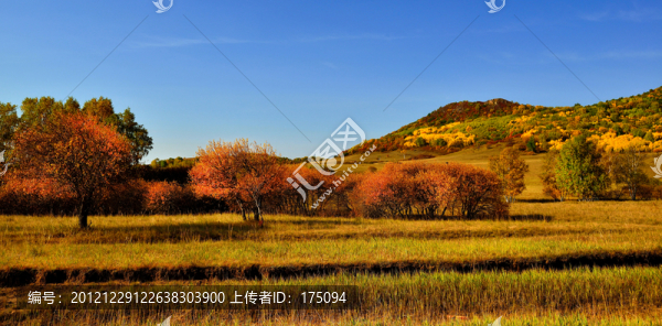 壩上風(fēng)光