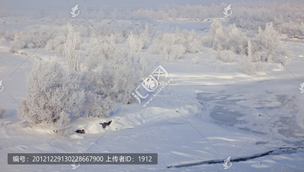 冬雪