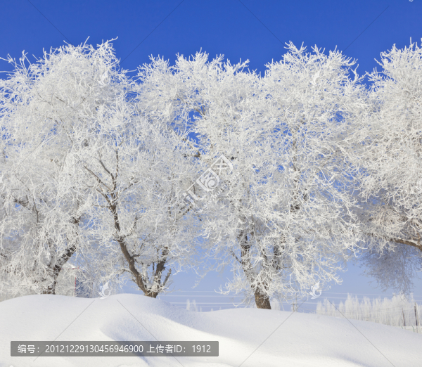 雪景