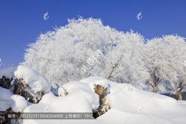 霧淞