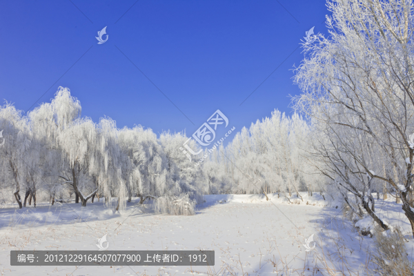 霧淞