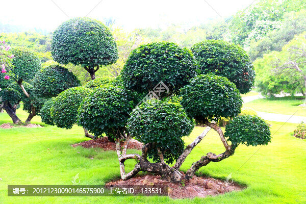 園林,園藝
