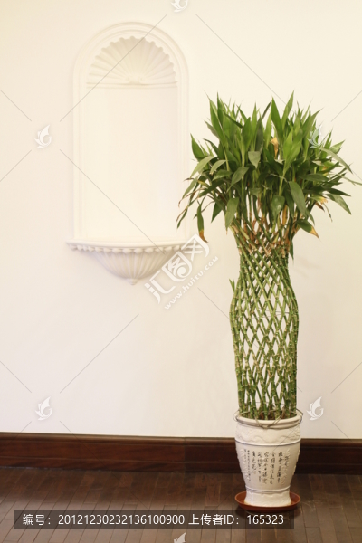 植被,擺設(shè),裝飾品