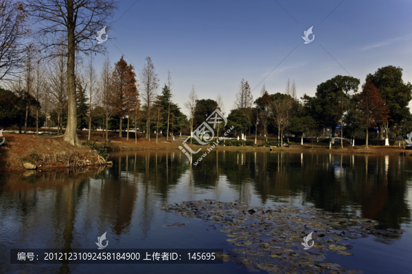 池塘風(fēng)光