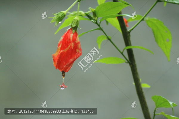 扶?；? title=