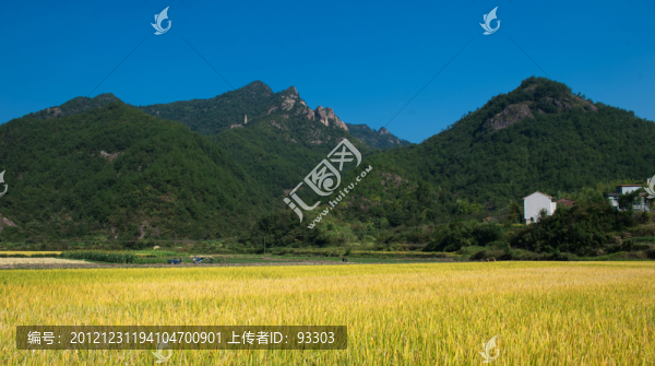 秋景