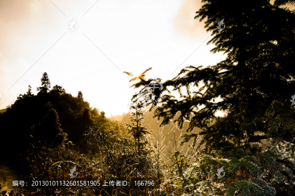冰山暖陽