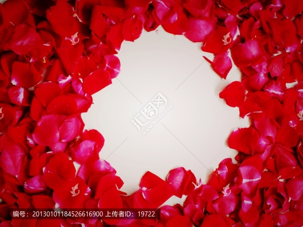 玫瑰花瓣