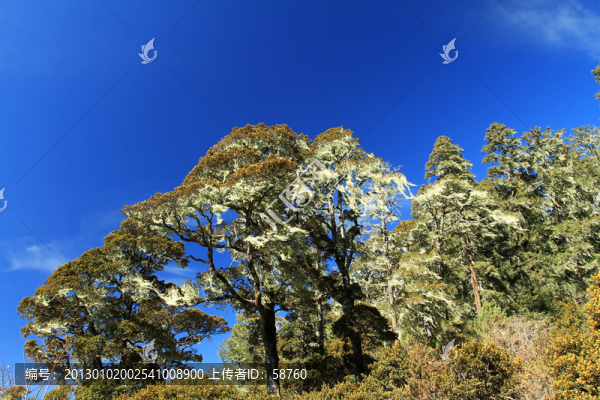 普達措國家森林公園
