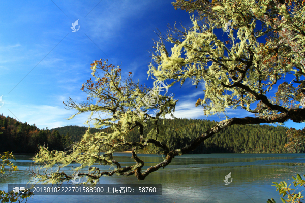 碧塔海風(fēng)光