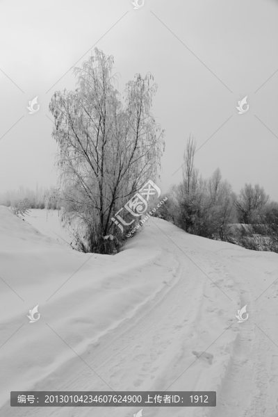 冬雪