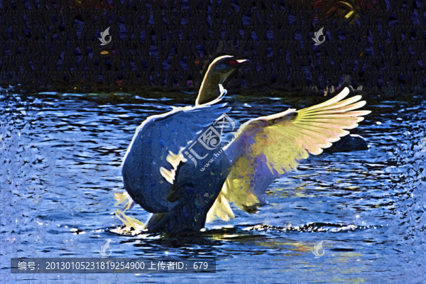天使之翼
