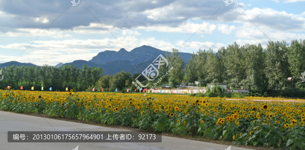 秋季景色