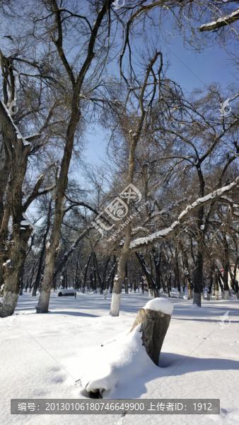 冬雪
