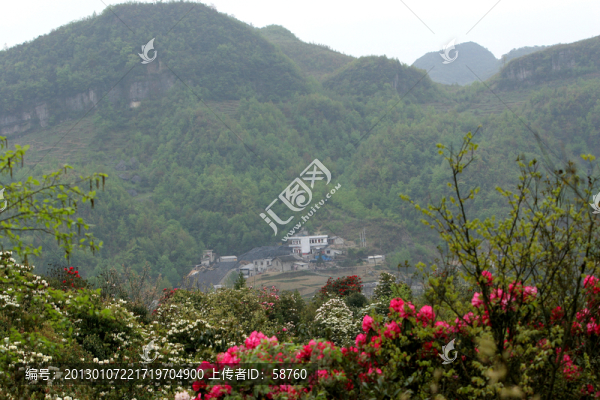 貴州,百里杜鵑風景區(qū)
