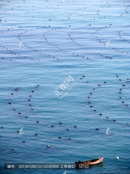 大連市濱海路,海產(chǎn)品養(yǎng)殖場