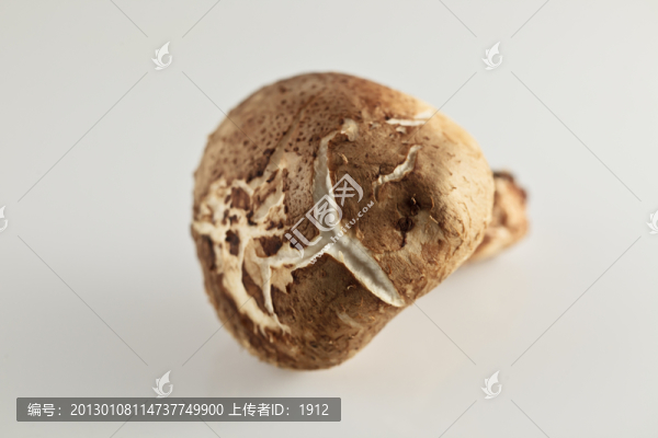 香菇