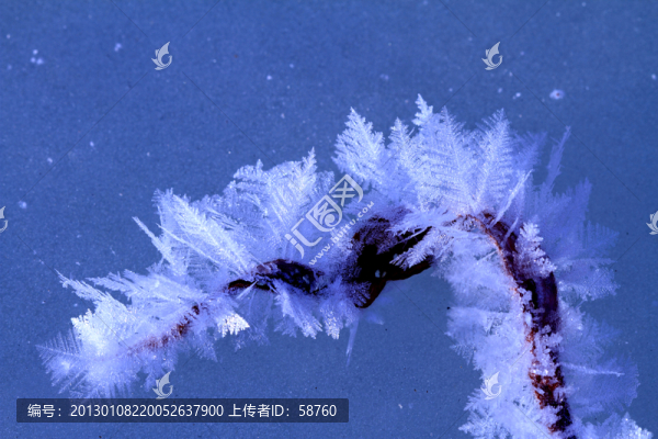 霜花