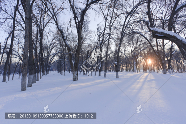 雪原晨光