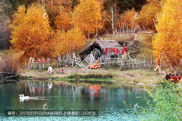 壩上風(fēng)光小景