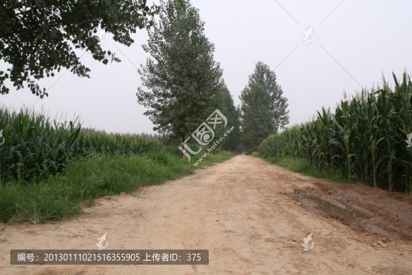 鄉(xiāng)間小路