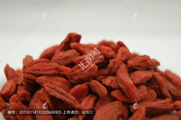 枸杞