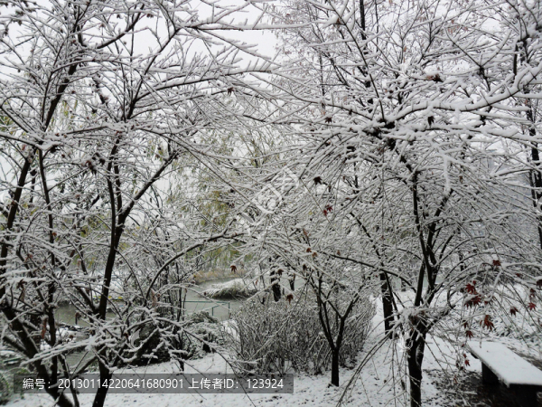 雪景