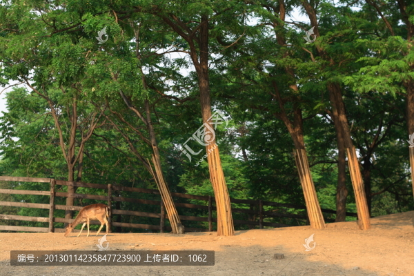 水上公園百牲園