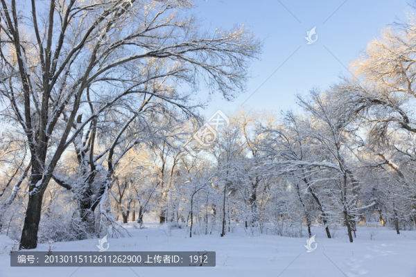 冬雪