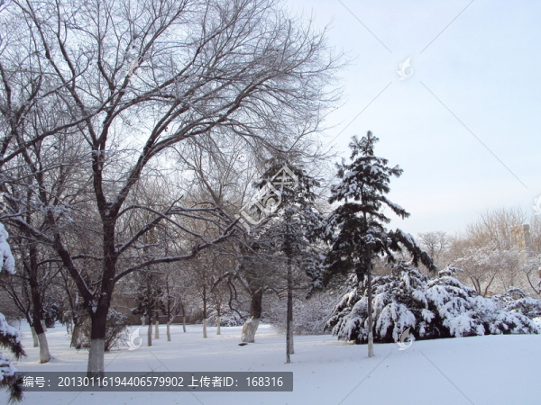 雪景