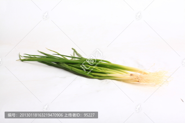 小蔥