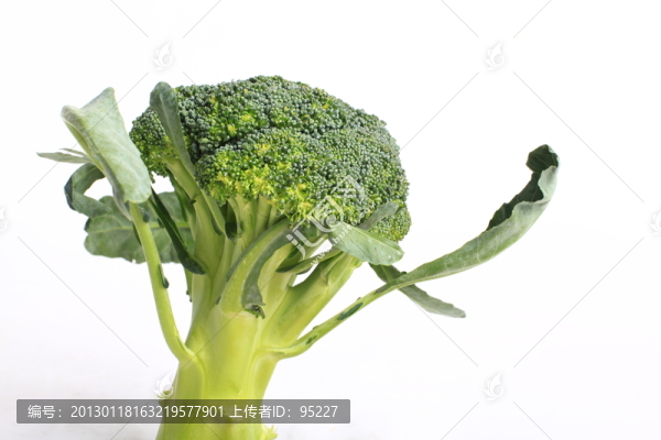 西蘭花