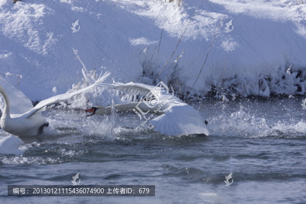 水中打斗