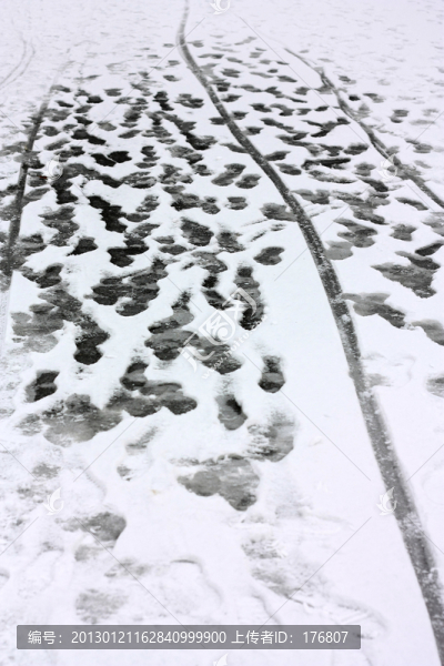 雪地足跡