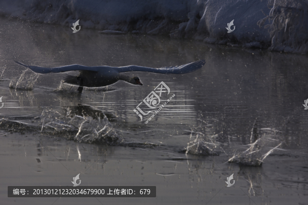 起航