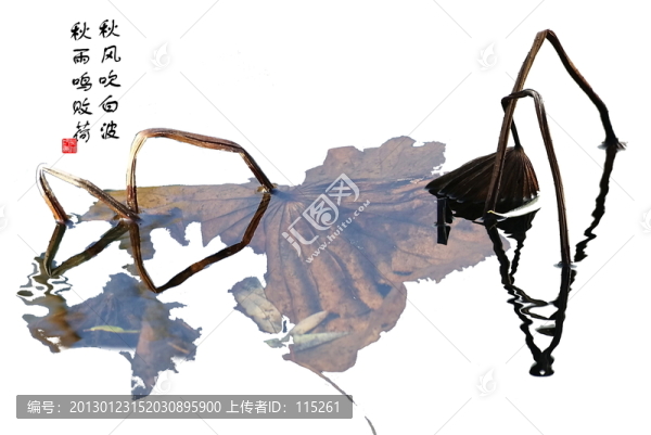 荷韻