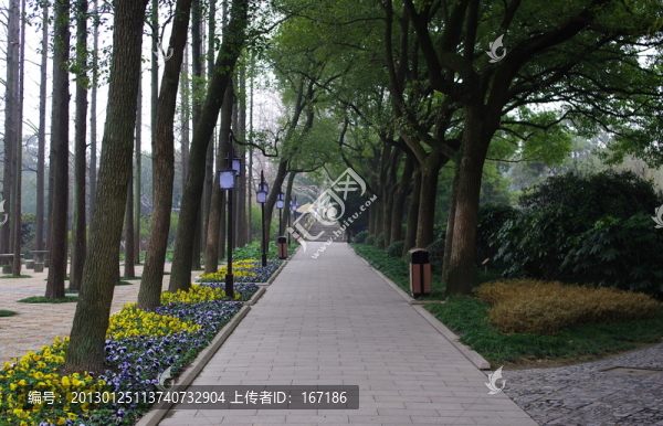 醉白池