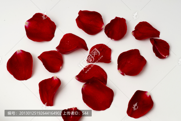 玫瑰花瓣